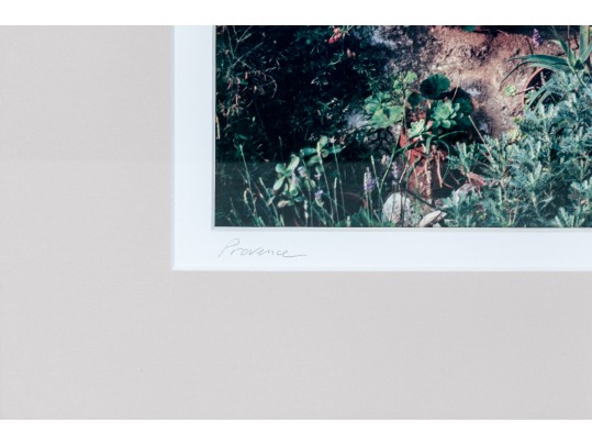 Pair Of Ferris, Colored Photographs