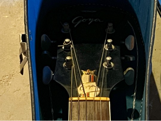 Goya Guitar