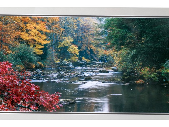 Thomas D. Mangelsen Images Of Nature Series Colored Photograph