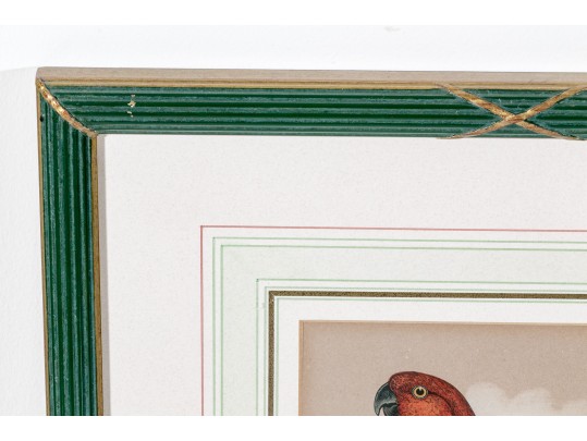 Pair Of Antique Hand-colored Parrot Bookplate Engravings