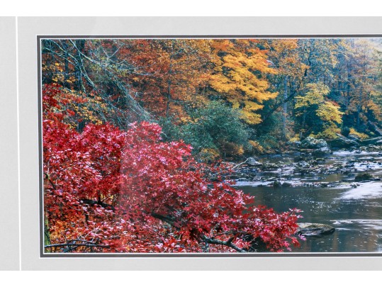 Thomas D. Mangelsen Images Of Nature Series Colored Photograph