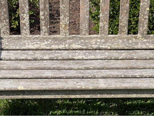 Fabulous Teak Bench