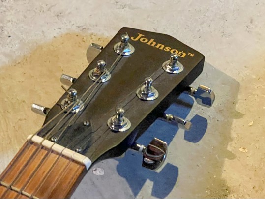 Goya Guitar