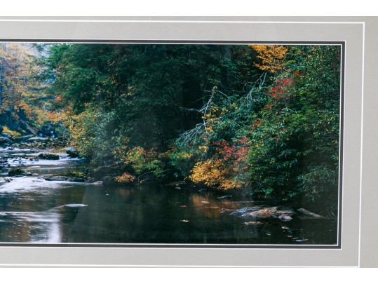 Thomas D. Mangelsen Images Of Nature Series Colored Photograph