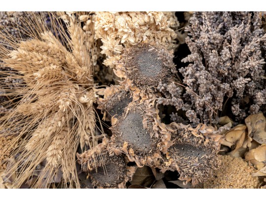 Substantial Custom Floral Arrangement In Peanut Basket