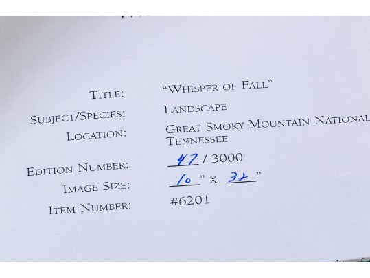 Thomas D. Mangelsen Images Of Nature Series Colored Photograph