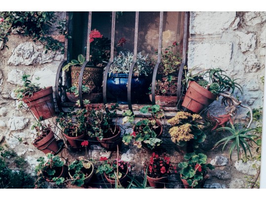 Pair Of Ferris, Colored Photographs