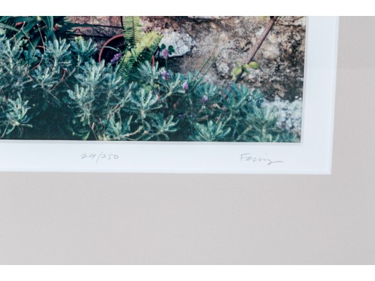 Pair Of Ferris, Colored Photographs