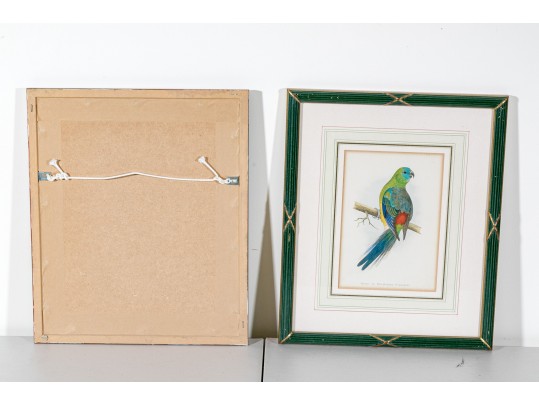 Pair Of Antique Hand-colored Parrot Bookplate Engravings