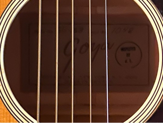 Goya Guitar