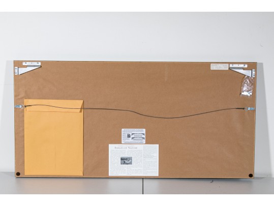 Thomas D. Mangelsen Images Of Nature Series Colored Photograph