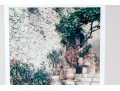 Pair Of Ferris, Colored Photographs