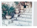 Pair Of Ferris, Colored Photographs