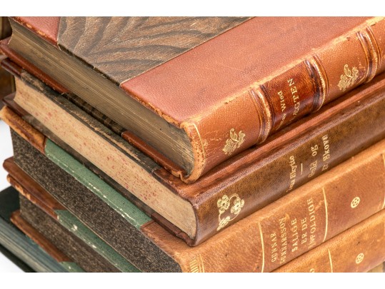 Collection Of Antique & Semi Antique Leather & Cloth Bound Books 