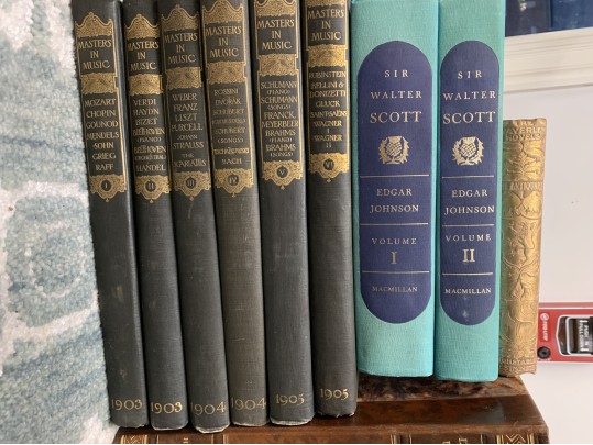 Collection Of Antique & Semi Antique Leather & Cloth Bound Books 