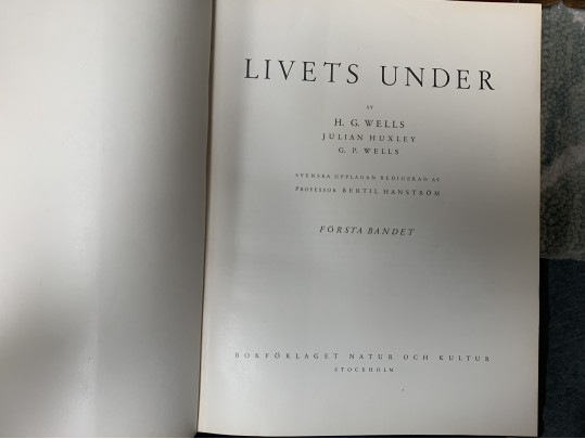 Collection Of Antique & Semi Antique Leather & Cloth Bound Books 