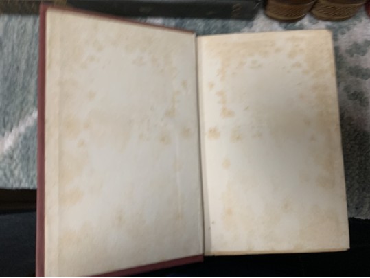 Collection Of Antique & Semi Antique Leather & Cloth Bound Books 