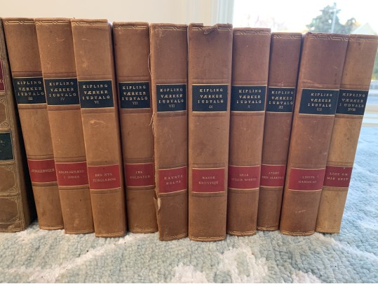 Collection In Excess Of 25 Semi Antique & Antique Leather Bound Books