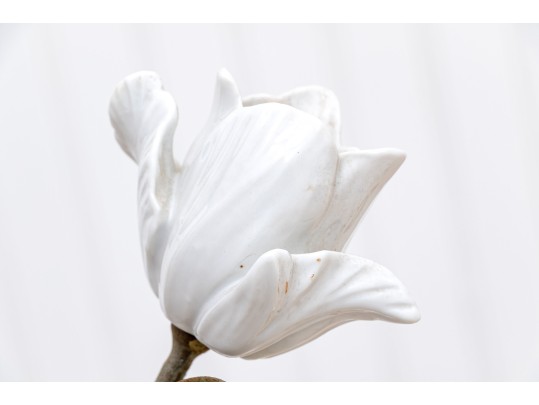 Collection Of 9 Porcelain And Metal White Tulips 