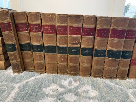 Collection In Excess Of 25 Semi Antique & Antique Leather Bound Books