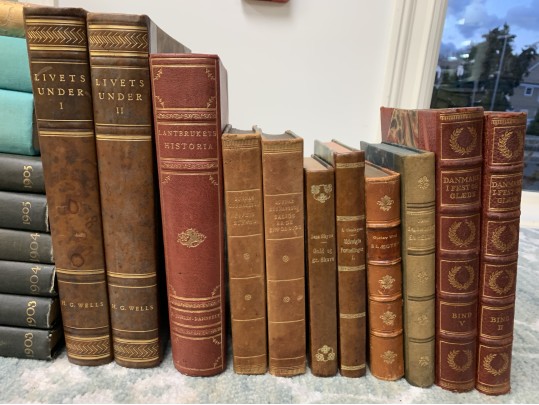 Collection Of Antique & Semi Antique Leather & Cloth Bound Books 
