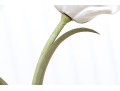 Collection Of 9 Porcelain And Metal White Tulips 