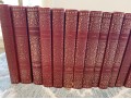 Collection Of 22 Leather Bound Books