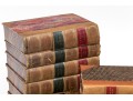 Collection In Excess Of 25 Semi Antique & Antique Leather Bound Books