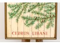 Cedar Of Lebanon Painted Wood Panel Advertisment