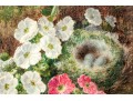George Clare (British, 1835-1890) Oil On Cavas Floral Still Life