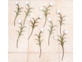 Collection Of 9 Porcelain And Metal White Tulips 