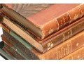 Collection Of Antique & Semi Antique Leather & Cloth Bound Books 