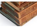 Collection Of Antique & Semi Antique Leather & Cloth Bound Books 