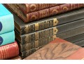 Collection Of Antique & Semi Antique Leather & Cloth Bound Books 