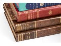 Collection Of Antique & Semi Antique Leather & Cloth Bound Books 