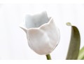 Collection Of 9 Porcelain And Metal White Tulips 