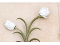 Collection Of 9 Porcelain And Metal White Tulips 