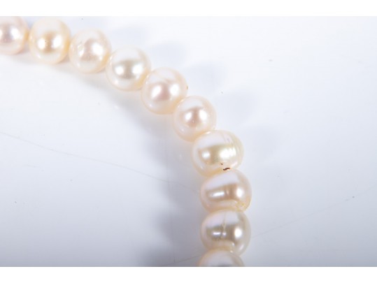 Large Warm-White Cultured Pearl Necklace With 14k Stud Earrings
