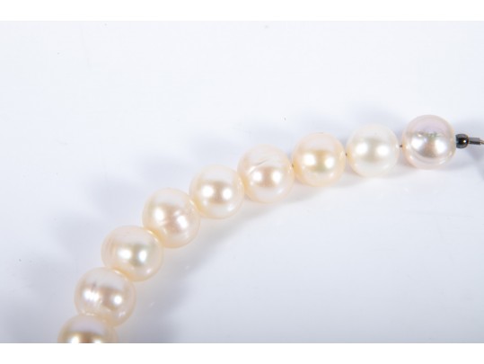 Large Warm-White Cultured Pearl Necklace With 14k Stud Earrings