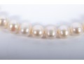 Large Warm-White Cultured Pearl Necklace With 14k Stud Earrings