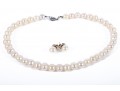 Large Warm-White Cultured Pearl Necklace With 14k Stud Earrings