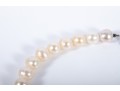 Large Warm-White Cultured Pearl Necklace With 14k Stud Earrings