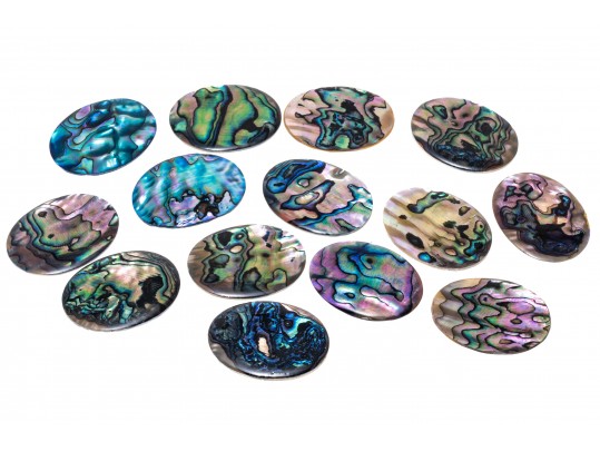 Loose Stones: Fourteen, Oval Abalone Doublets