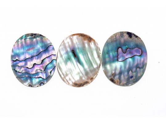 Loose Stones: Fourteen, Oval Abalone Doublets