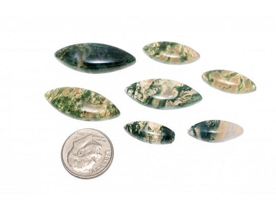 Loose Stones: Seven Marques Cabochon Moss Agates, 58.0 TCW