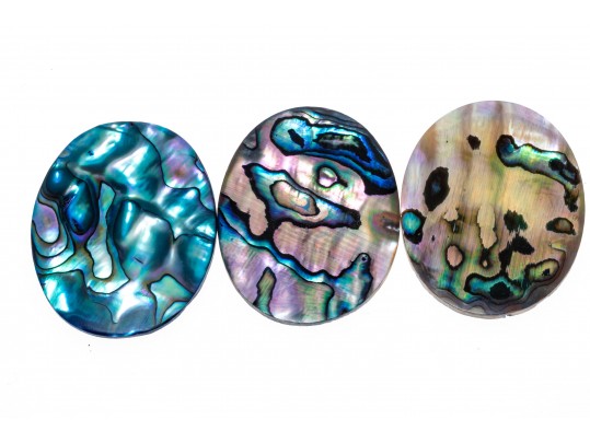 Loose Stones: Fourteen, Oval Abalone Doublets