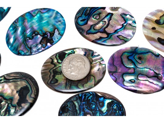Loose Stones: Fourteen, Oval Abalone Doublets