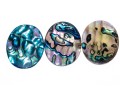 Loose Stones: Fourteen, Oval Abalone Doublets