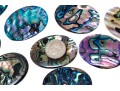 Loose Stones: Fourteen, Oval Abalone Doublets