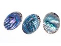 Loose Stones: Fourteen, Oval Abalone Doublets